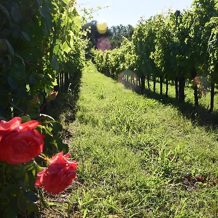 Podere Alessi *