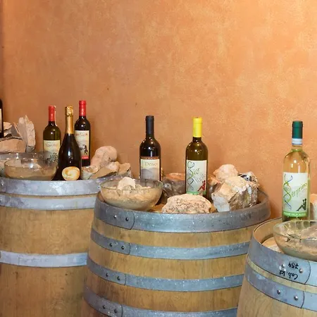 Podere Alessi Cinto Euganeo